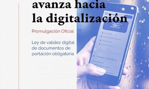 Ejecutivo promulga ley de validación digital de documentos de portación obligatoria