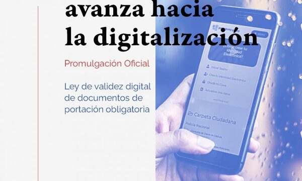 Ejecutivo promulga ley de validación digital de documentos de portación obligatoria