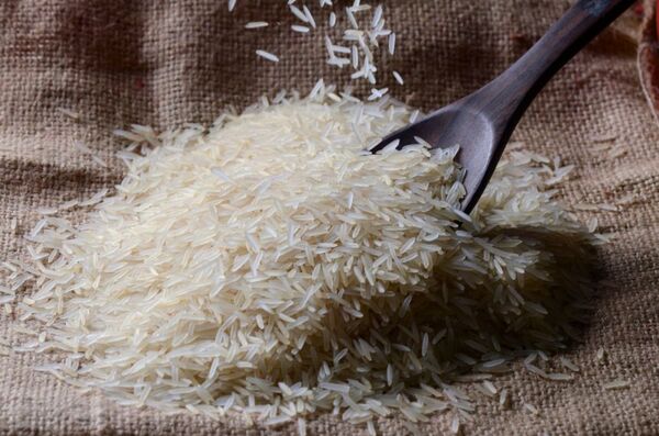 Perspectivas positivas para la producción y exportación de arroz, pese a ligera caída mensual de precios - MarketData