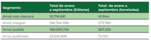 Perspectivas positivas para la producción y exportación de arroz, pese a ligera caída mensual de precios - MarketData