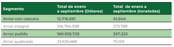 Perspectivas positivas para la producción y exportación de arroz, pese a ligera caída mensual de precios - MarketData