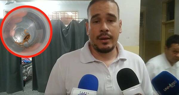 Estaba en el colegio y le picó un alacrán: alumna se encuentra estable, he’i médico