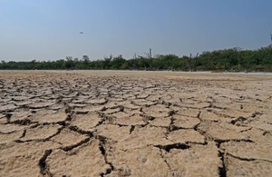 Diario HOY | Declaran "estado de emergencia" en Boquerón a raíz de la acuciante sequía