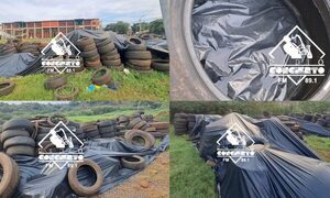 Cementerio de cubiertas permite proliferación de mosquitos en predio municipal