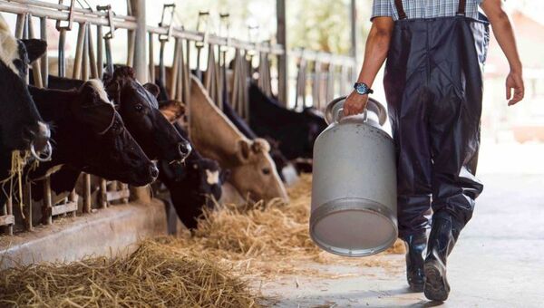 Recambio generacional es la clave: Aseguran que futuro de la lechería depende de los jóvenes