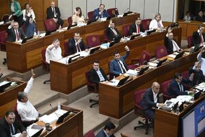 PGN 2024: Ejecutivo pide aumento salarial para senadores y diputados - Economía - ABC Color