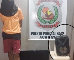 Capturan a malviviente que pretendía comercializar varios objetos robados – Diario TNPRESS