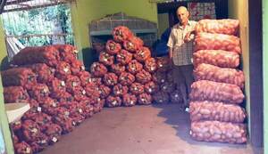 SENAVE certifica producción de papa