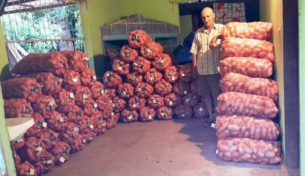 SENAVE certifica producción de papa