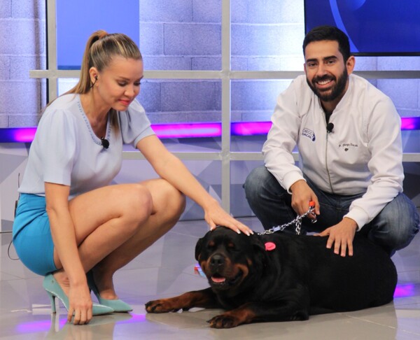 Diego Dacak en La Mañana de Unicanal: “Lo que tratamos de hacer es que las mascotas tengan una mejor calidad de vida” - Unicanal