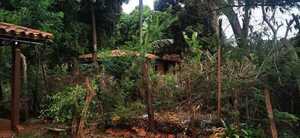 Vecinos de San Felipe piden intervención urgente de casa abandonada » San Lorenzo PY