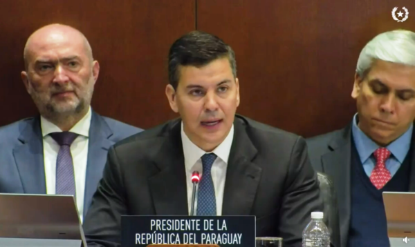 Peña ratifica postura en favor del comercio y la libre navegabilidad ante la OEA - El Trueno