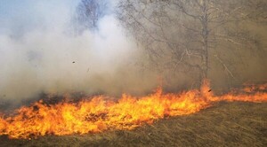 Incendios de pastizales y bosques no estarían siendo notificado oficialmente | 1000 Noticias