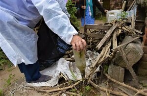 FRECUENTES LLUVIAS FACILITAN LA INFESTACIÓN LARVARIA DEL AEDES AEGYPTI, ALERTAN