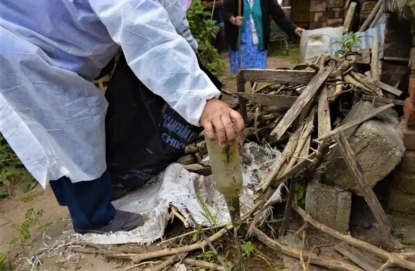 FRECUENTES LLUVIAS FACILITAN LA INFESTACIÓN LARVARIA DEL AEDES AEGYPTI, ALERTAN