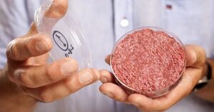 Diputados prohíbe en nuestro país la carne cultivada en laboratorio  - Política - ABC Color