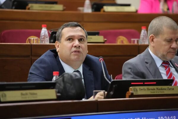 Maidana reemplazará a Rivas ante el JEM y Yami Nal será su suplente gracias al cartismo - Política - ABC Color