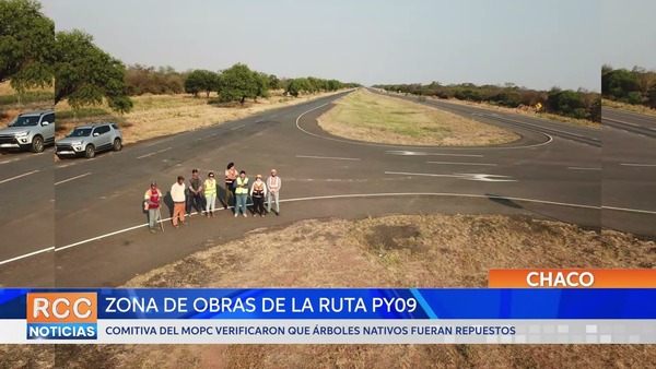 Verifican árboles repuestos en la zona de obras de la ruta PY09