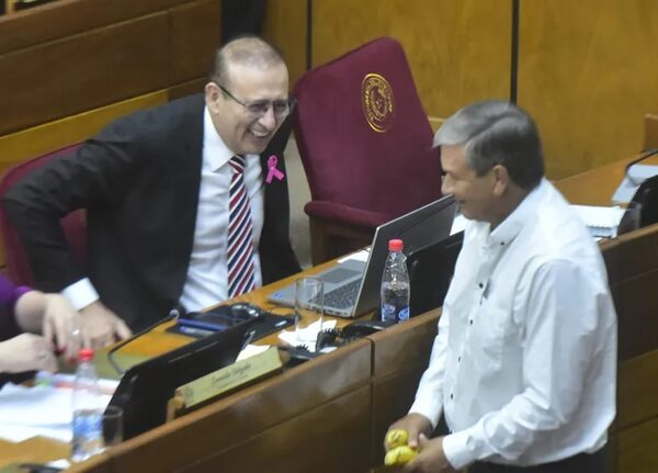 Senadores bastardean la ley de conflicto de intereses - Política - ABC Color