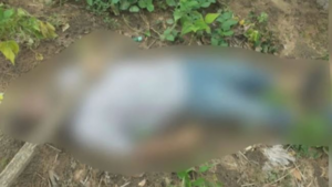 Quiso entrar a robar en una chacra y murió electrocutado