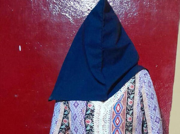 Detienen a una mujer por castigar violentamente a su sobrina - trece