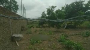 Ladrón muere electrocutado al intentar entrar a una chacra en Ypané