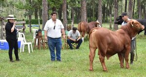 La Expo Guairá 2023 reúne lo mejor de la ganadería paraguaya