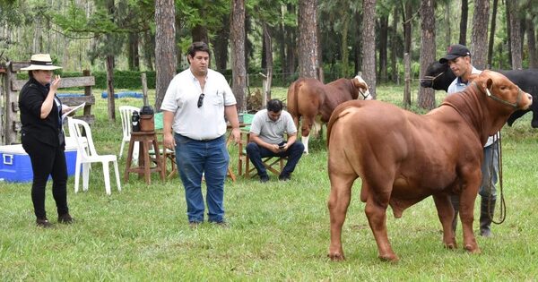 La Expo Guairá 2023 reúne lo mejor de la ganadería paraguaya