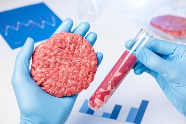 Diario HOY | Prohibir venta de carne sintética: Diputados dan media sanción