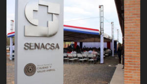 Senacsa celebra la aprobación de proyecto de ley de identificación animal - ADN Digital
