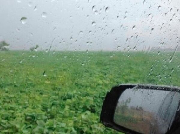 "Lluvias intensas generan preocupación entre los productores de la región