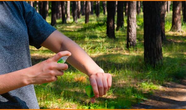 Brindan recomendaciones para el uso seguro de repelentes contra insectos