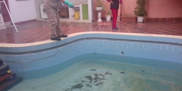 Itapúa, entre los cuatro departamentos donde se concentra la mitad de los casos de dengue a nivel nacional
