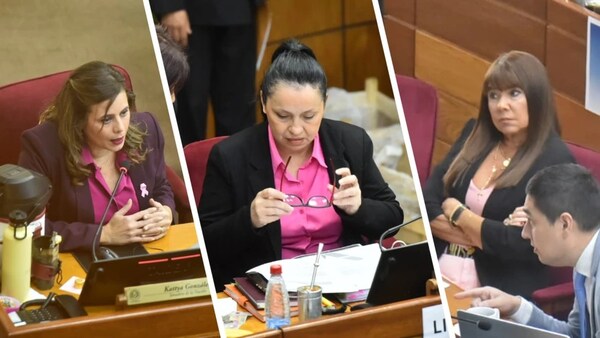 SENADORAS OPOSITORAS DENUNCIAN ATAQUES DEL CARTISMO POR HACER VISIBLE LA CORRUPCIÓN