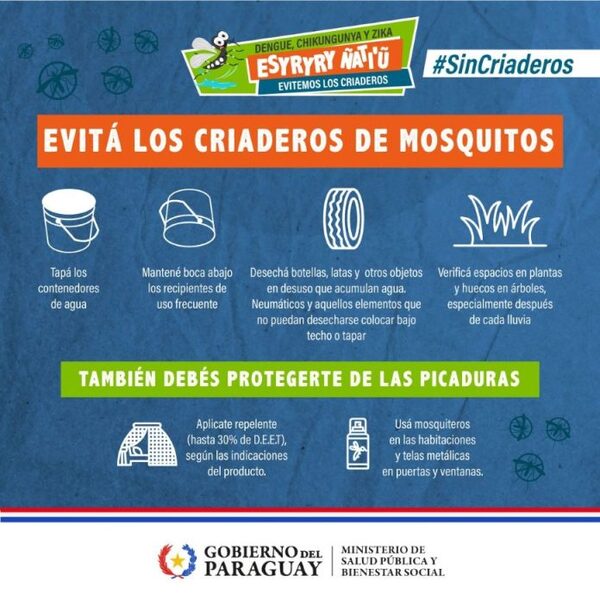 AUMENTAN CASOS DE DENGUE A NIVEL PAÍS EN LAS ÚLTIMAS TRES SEMANAS