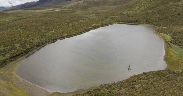 La Nación / Gobierno de Ecuador anuncia cortes de energía debido a sequía