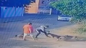 Paseador de perros y sus mascotas fueron agredidos en Asunción
