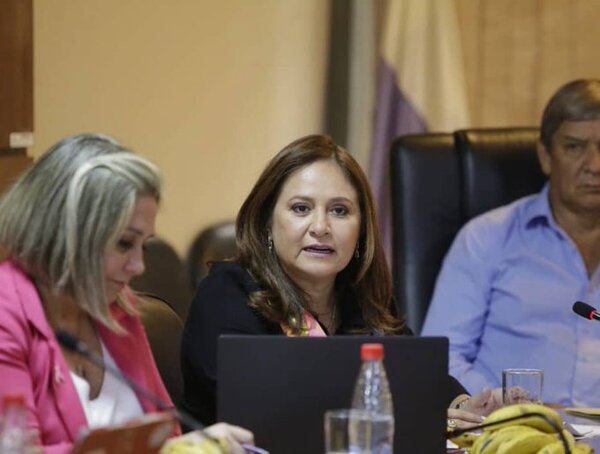 Ministra rechaza polémicos materiales educativos del MEC