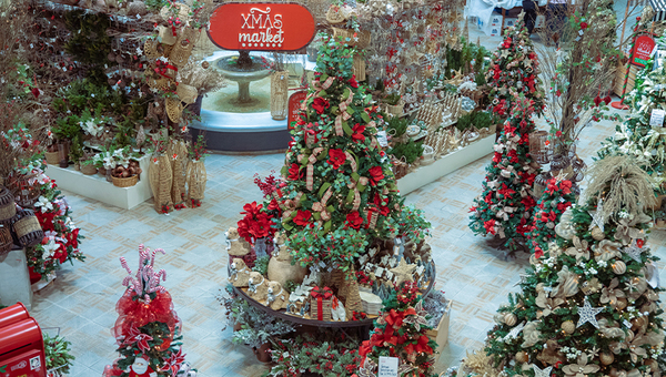 Faltan cinco pa' Navidad: Marketplace se pone a tono con 50 árboles (proyecta la apertura de más tiendas)