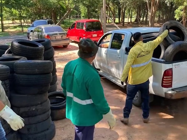 Iniciativa comunal pretende reducir criaderos de mosquitos - La Tribuna