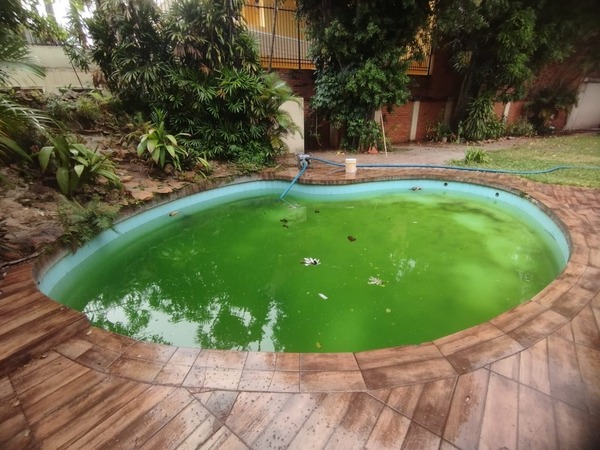 Diario HOY | Intervienen casa con criaderos: multa puede llegar a G. 280 millones