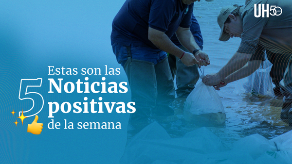 Ingenio, medallas y producción asertiva entre las noticias positivas de la semana
