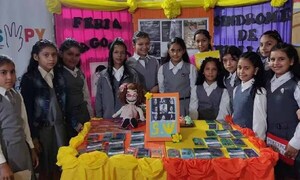 Niña con Síndrome de Williams logró que sus compañeros hablen de su caso en una feria en Ypané – Prensa 5