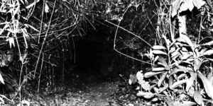 Diario HOY | Inaugurarán muestra multidisciplinaria "Ejercicios Nocturnos" en Espacio K