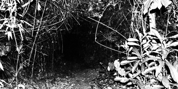 Diario HOY | Inaugurarán muestra multidisciplinaria "Ejercicios Nocturnos" en Espacio K