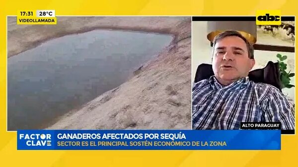 Sequía en el Chaco: falta de agua afecta también a ganaderos - Factor Clave - ABC Color