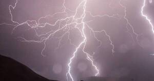 La Nación / A causa del temporal se destecharon varias viviendas y un rayo mató a 80 vacas en Canindeyú