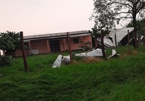 Cables de alta tensión mataron a unos 80 ganados vacunos y dos caballos - trece