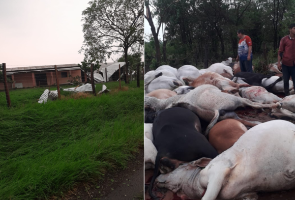 Temporal causó destrozos en Ybyrarobaná y 80 animales murieron por caída de rayo - Megacadena - Diario Digital