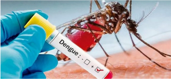 ¡Cháke! Hay un caso de dengue hemorrágico en San Pedro
